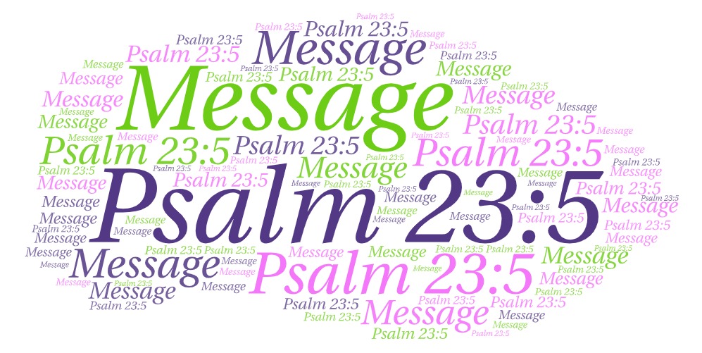 Psalm 23 5 Message