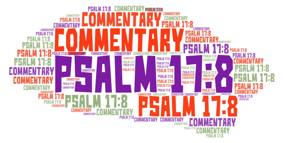 Psalm 17 8 Meaning