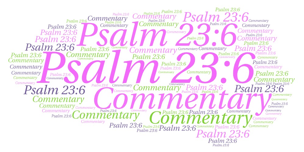 Psalm 23 6 Commentary